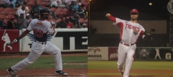 Tigres y Águilas dividen en Maracay