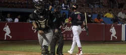 Brazos insulares blanquearon a los Tigres