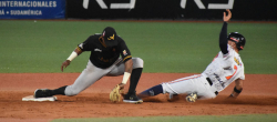 Tigres no pudo ante Caribes