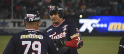 Tigres cae ante Cardenales