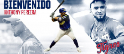 Anthony Pereira se une a Tigres de Aragua