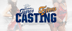 Convocado casting para Reina Tigres y Felinas