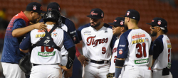 Tigres cae ante Caribes en Maracay
