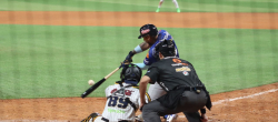 Tigres fue superado por Leones