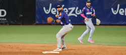 Tigres dividió con Caribes
