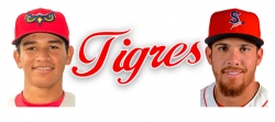 Tigres tomó dos peloteros del draft de no protegidos